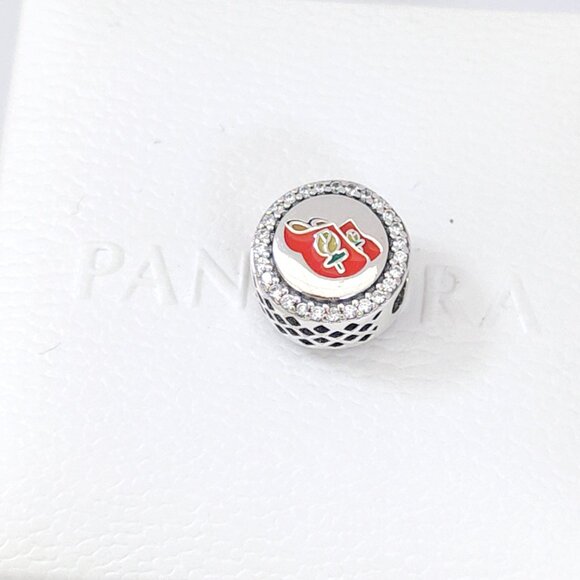 Pandora Tulips in a Wooden Shoe Netherlands Travel Vacation Exclusive Bead Charm - Picture 3 of 7